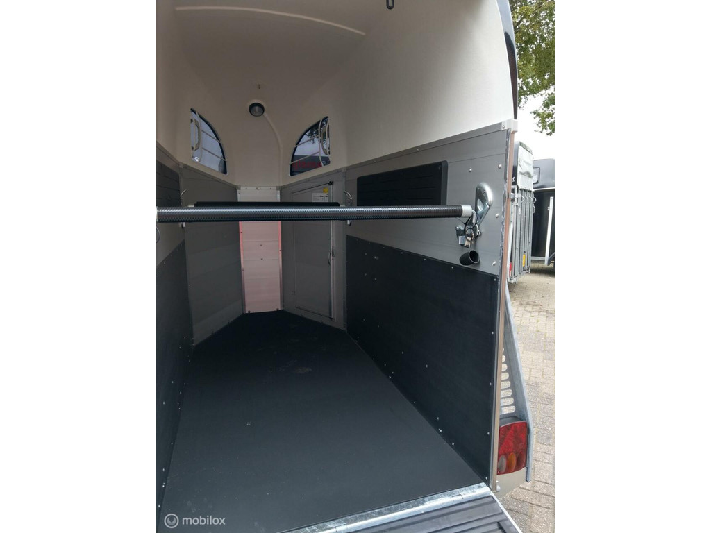Bockmann Campion Uno C